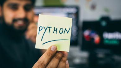 Python development company