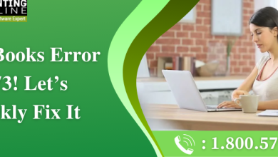 QuickBooks Error 6073