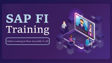 SAP FI Training in Noida