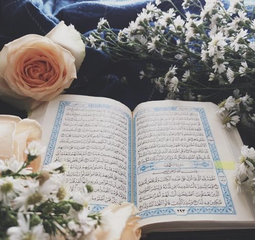 learn quran online