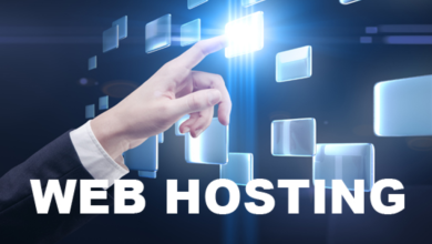 Web Hosting Providers