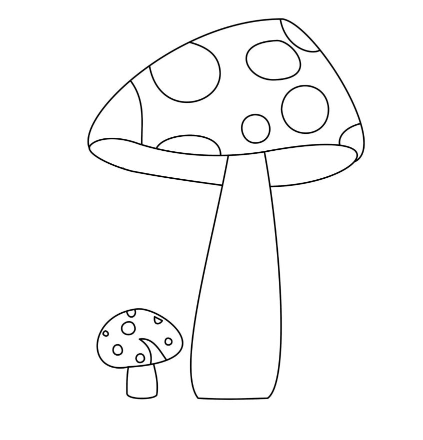 Mushroom