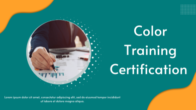 Color Training Certification - How to Choose the Right Program for You