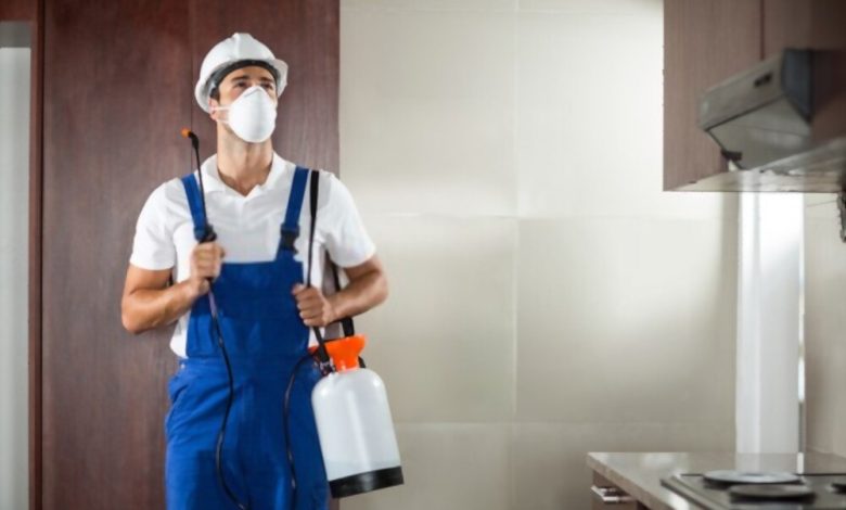 pest control services in burnaby