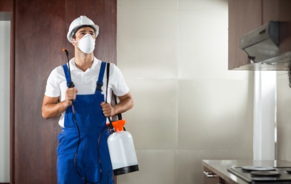 pest control services in burnaby