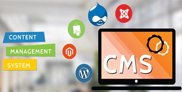 CMS web designing