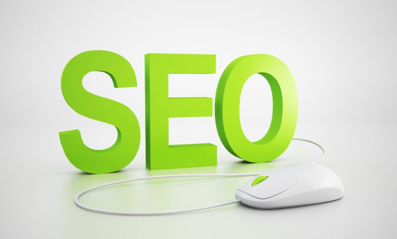 SEO Consultant